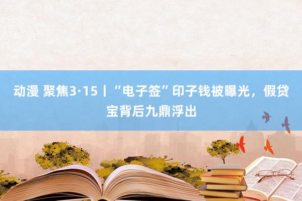 动漫 聚焦3·15丨“电子签”印子钱被曝光，假贷宝背后九鼎浮出