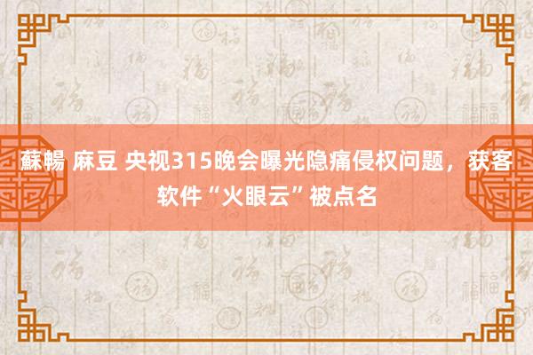 蘇暢 麻豆 央视315晚会曝光隐痛侵权问题，获客软件“火眼云”被点名