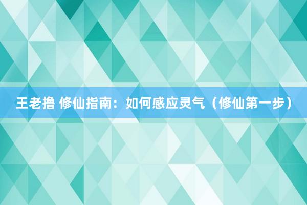 王老撸 修仙指南：如何感应灵气（修仙第一步）