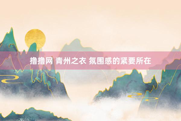 撸撸网 青州之衣 氛围感的紧要所在