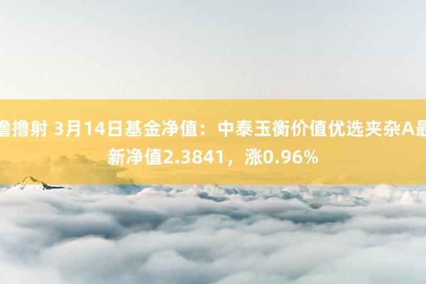 撸撸射 3月14日基金净值：中泰玉衡价值优选夹杂A最新净值2.3841，涨0.96%