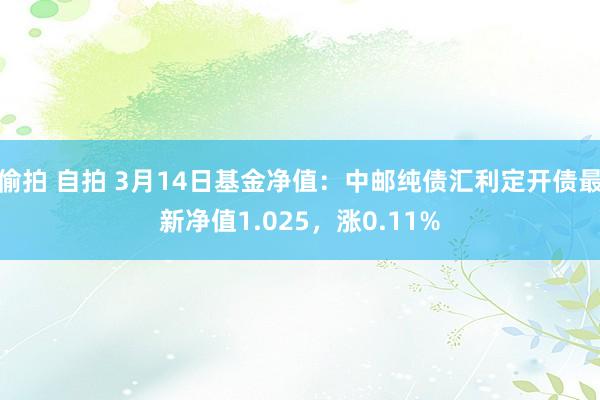 偷拍 自拍 3月14日基金净值：中邮纯债汇利定开债最新净值1.025，涨0.11%