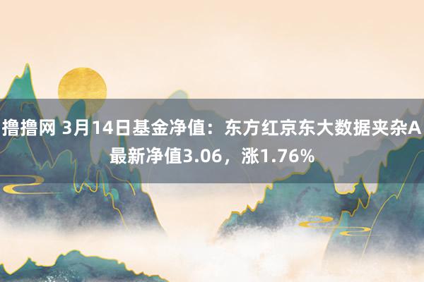 撸撸网 3月14日基金净值：东方红京东大数据夹杂A最新净值3.06，涨1.76%