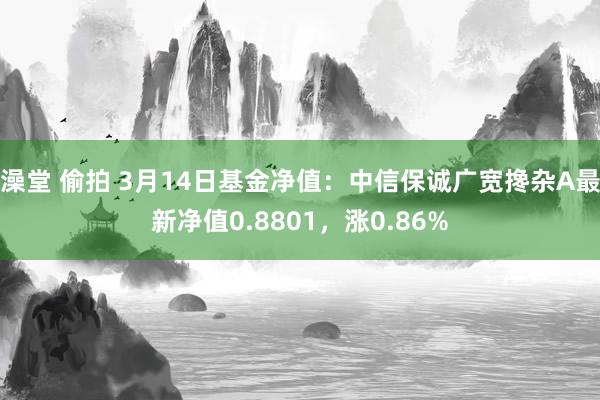 澡堂 偷拍 3月14日基金净值：中信保诚广宽搀杂A最新净值0.8801，涨0.86%