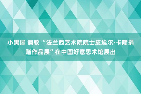 小黑屋 调教 “法兰西艺术院院士皮埃尔·卡隆捐赠作品展”在中国好意思术馆展出