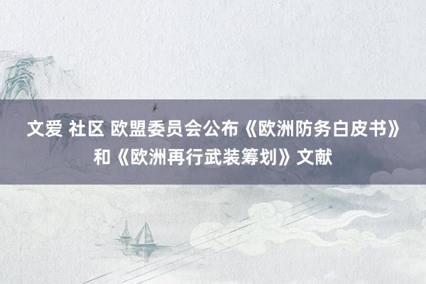 文爱 社区 欧盟委员会公布《欧洲防务白皮书》和《欧洲再行武装筹划》文献