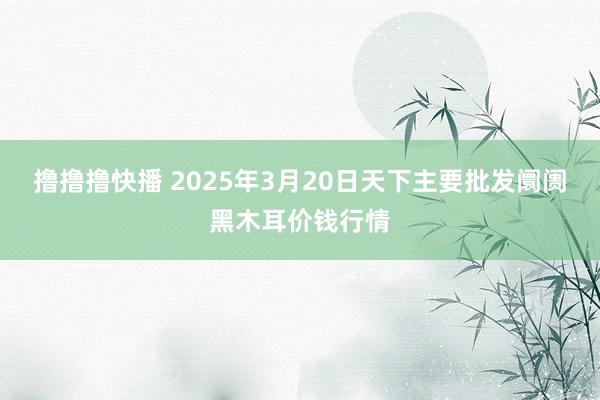 撸撸撸快播 2025年3月20日天下主要批发阛阓黑木耳价钱行情
