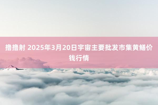 撸撸射 2025年3月20日宇宙主要批发市集黄鳝价钱行情