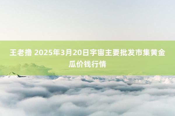 王老撸 2025年3月20日宇宙主要批发市集黄金瓜价钱行情