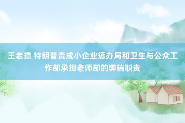 王老撸 特朗普责成小企业惩办局和卫生与公众工作部承担老师部的弊端职责