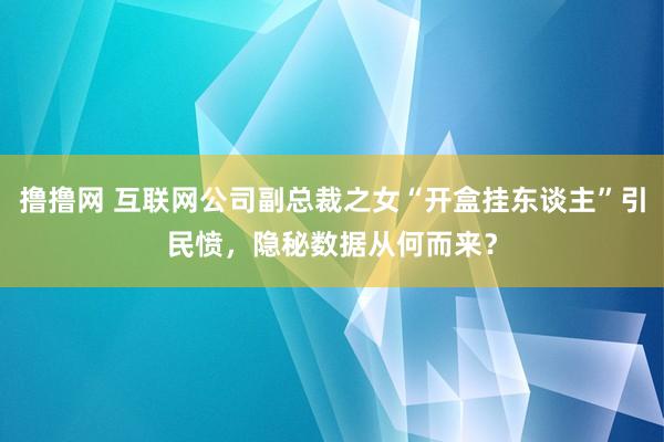 撸撸网 互联网公司副总裁之女“开盒挂东谈主”引民愤，隐秘数据从何而来？