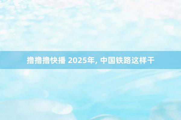撸撸撸快播 2025年， 中国铁路这样干