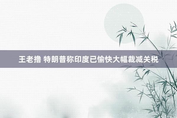 王老撸 特朗普称印度已愉快大幅裁减关税