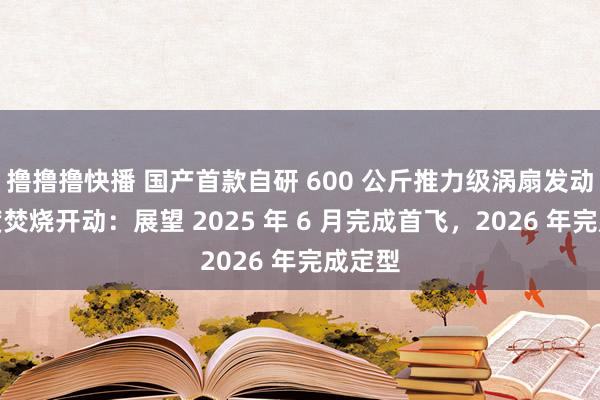 撸撸撸快播 国产首款自研 600 公斤推力级涡扇发动机初度焚烧开动：展望 2025 年 6 月完成首飞，2026 年完成定型