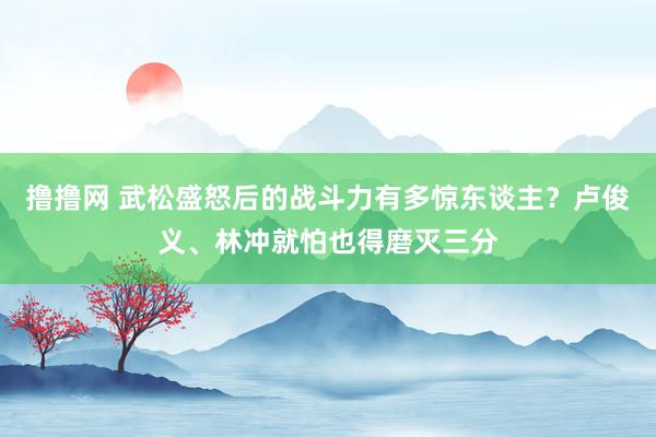 撸撸网 武松盛怒后的战斗力有多惊东谈主？卢俊义、林冲就怕也得磨灭三分