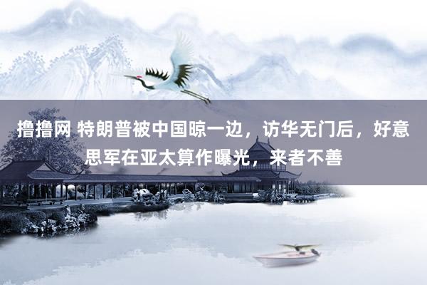 撸撸网 特朗普被中国晾一边，访华无门后，好意思军在亚太算作曝光，来者不善