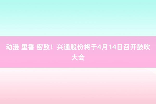动漫 里番 密致！兴通股份将于4月14日召开鼓吹大会