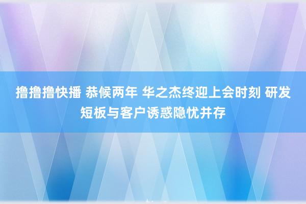 撸撸撸快播 恭候两年 华之杰终迎上会时刻 研发短板与客户诱惑隐忧并存