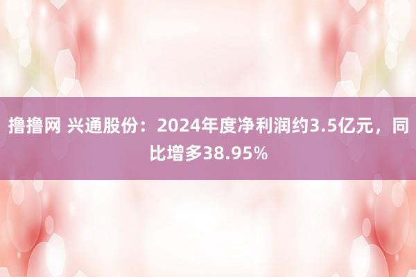 撸撸网 兴通股份：2024年度净利润约3.5亿元，同比增多38.95%