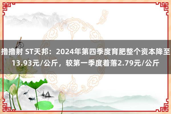 撸撸射 ST天邦：2024年第四季度育肥整个资本降至13.93元/公斤，较第一季度着落2.79元/公斤