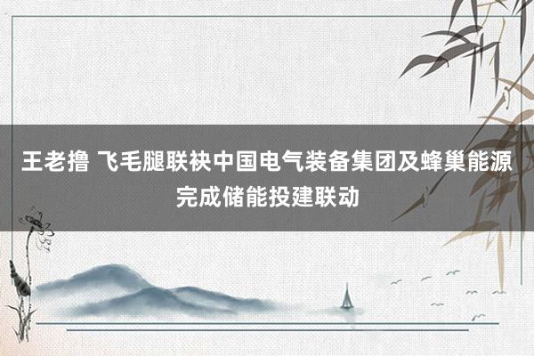 王老撸 飞毛腿联袂中国电气装备集团及蜂巢能源完成储能投建联动