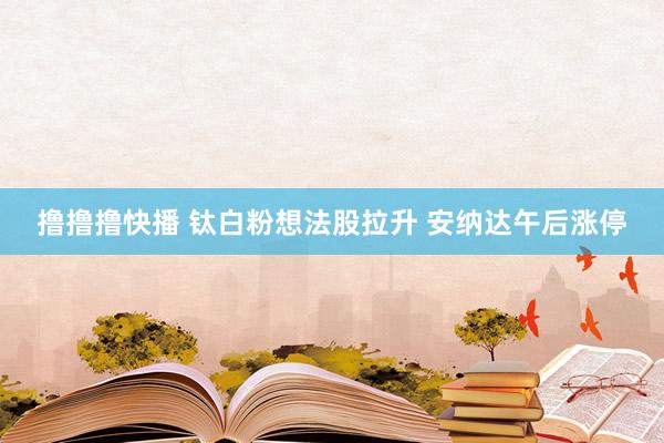 撸撸撸快播 钛白粉想法股拉升 安纳达午后涨停
