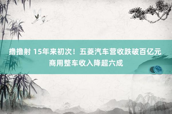 撸撸射 15年来初次！五菱汽车营收跌破百亿元 商用整车收入降超六成