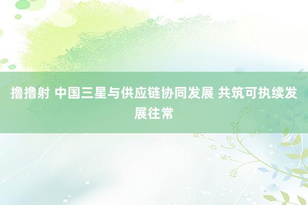 撸撸射 中国三星与供应链协同发展 共筑可执续发展往常
