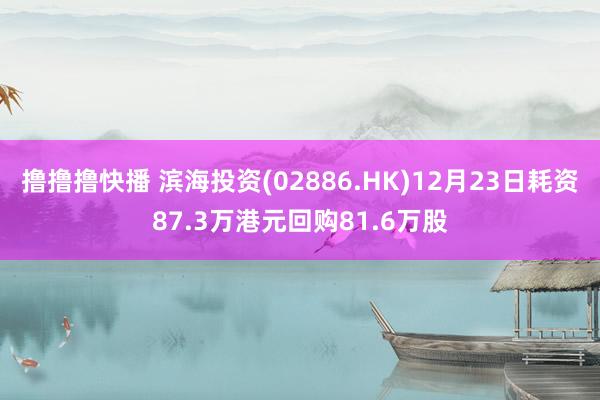 撸撸撸快播 滨海投资(02886.HK)12月23日耗资87.3万港元回购81.6万股