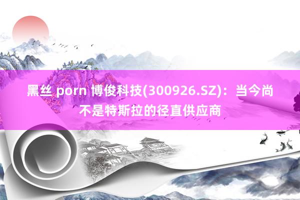 黑丝 porn 博俊科技(300926.SZ)：当今尚不是特斯拉的径直供应商