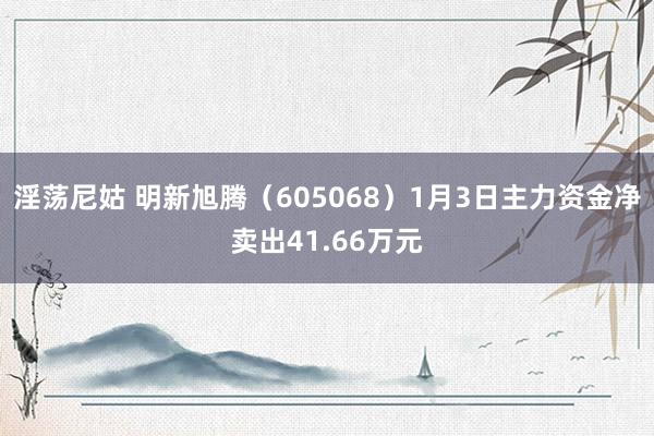 淫荡尼姑 明新旭腾（605068）1月3日主力资金净卖出41.66万元