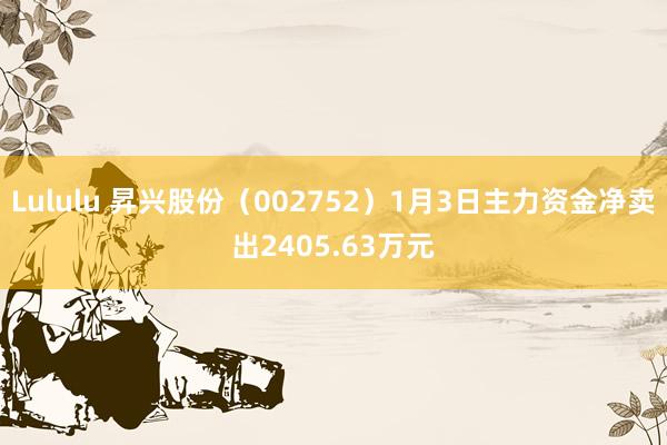 Lululu 昇兴股份（002752）1月3日主力资金净卖出2405.63万元