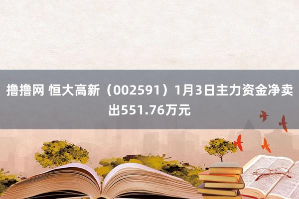 撸撸网 恒大高新（002591）1月3日主力资金净卖出551.76万元
