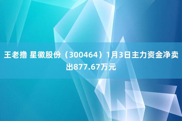 王老撸 星徽股份（300464）1月3日主力资金净卖出877.67万元