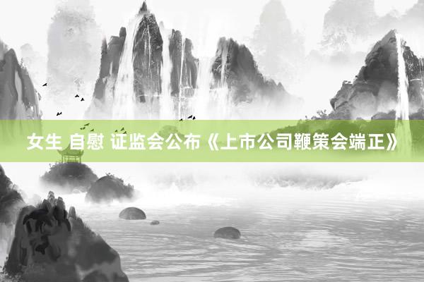 女生 自慰 证监会公布《上市公司鞭策会端正》