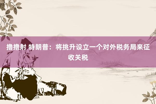 撸撸射 特朗普：将挑升设立一个对外税务局来征收关税