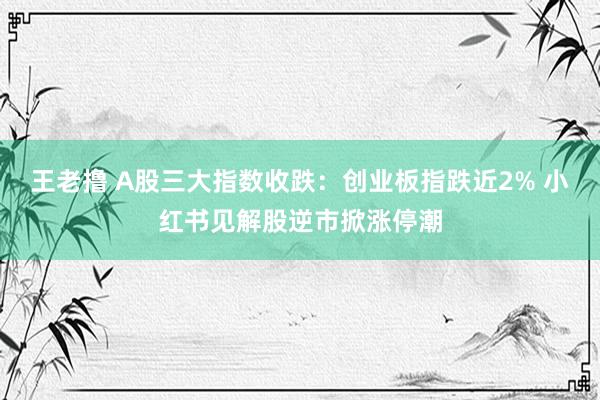 王老撸 A股三大指数收跌：创业板指跌近2% 小红书见解股逆市掀涨停潮