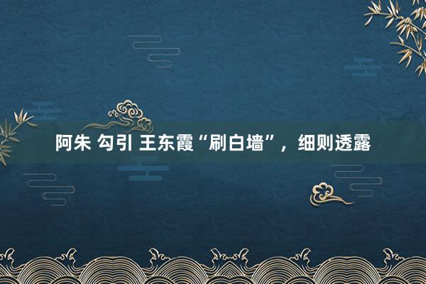 阿朱 勾引 王东霞“刷白墙”，细则透露