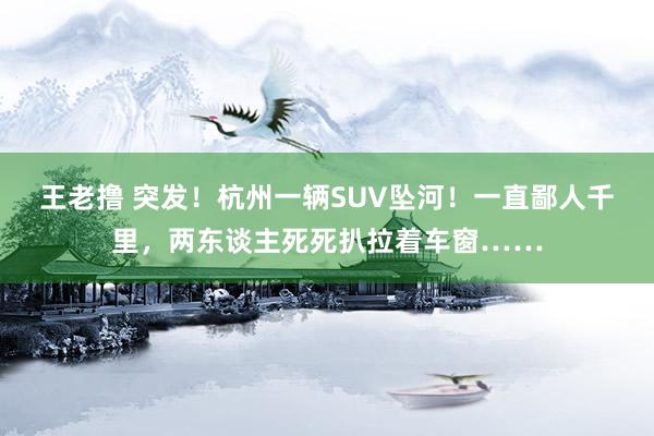 王老撸 突发！杭州一辆SUV坠河！一直鄙人千里，两东谈主死死扒拉着车窗……
