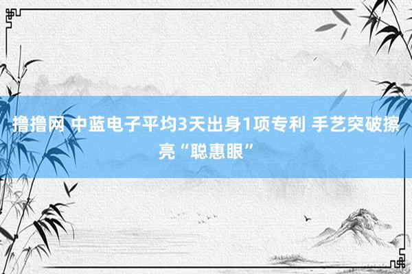 撸撸网 中蓝电子平均3天出身1项专利 手艺突破擦亮“聪惠眼”