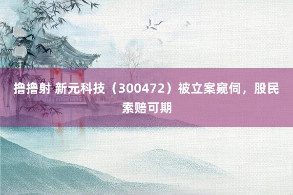 撸撸射 新元科技（300472）被立案窥伺，股民索赔可期