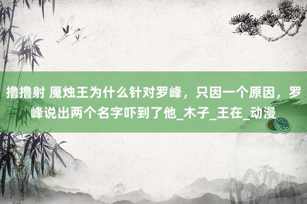 撸撸射 魇烛王为什么针对罗峰，只因一个原因，罗峰说出两个名字吓到了他_木子_王在_动漫