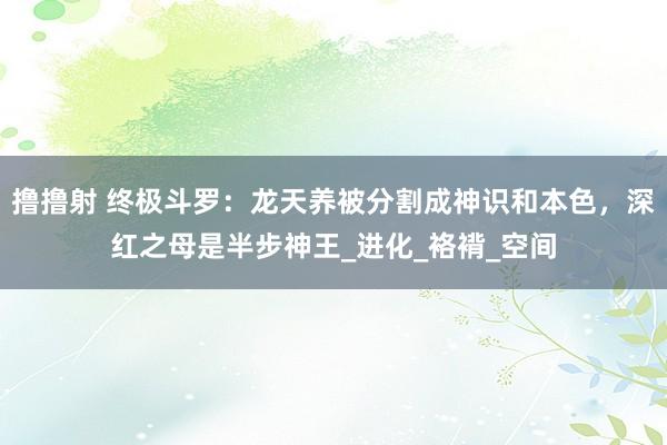 撸撸射 终极斗罗：龙天养被分割成神识和本色，深红之母是半步神王_进化_袼褙_空间