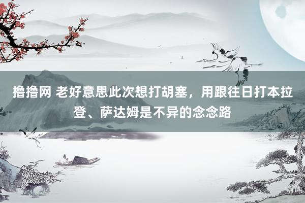 撸撸网 老好意思此次想打胡塞，用跟往日打本拉登、萨达姆是不异的念念路