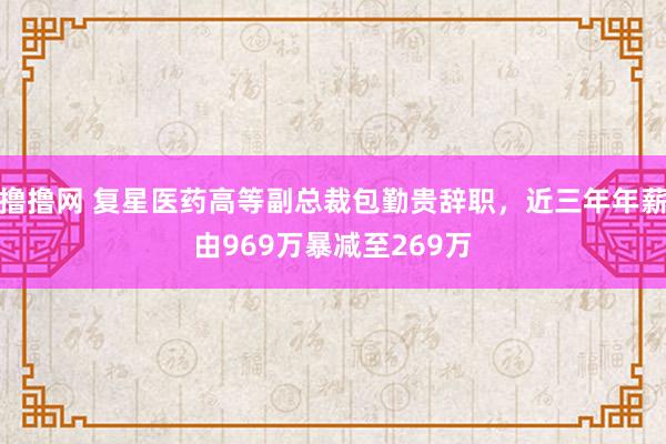 撸撸网 复星医药高等副总裁包勤贵辞职，近三年年薪由969万暴减至269万