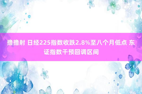 撸撸射 日经225指数收跌2.8%至八个月低点 东证指数干预回调区间