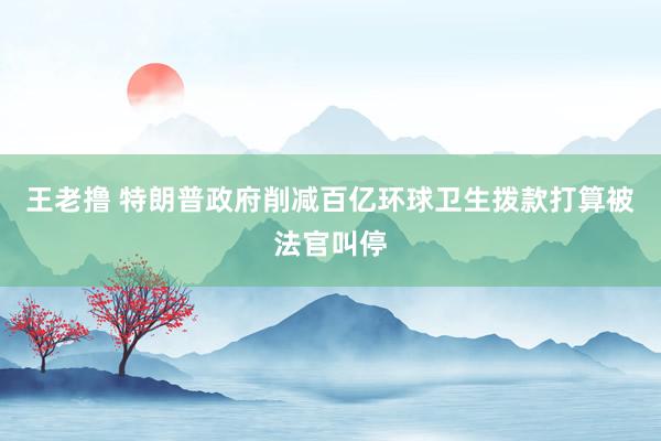 王老撸 特朗普政府削减百亿环球卫生拨款打算被法官叫停