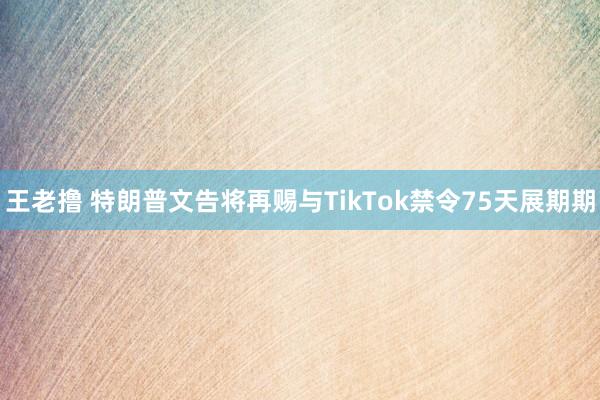 王老撸 特朗普文告将再赐与TikTok禁令75天展期期