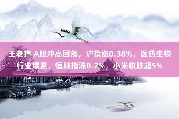 王老撸 A股冲高回落，沪指涨0.38%，医药生物行业爆发，恒科指涨0.2%，小米收跌超5%