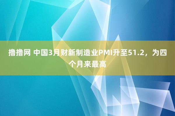 撸撸网 中国3月财新制造业PMI升至51.2，为四个月来最高